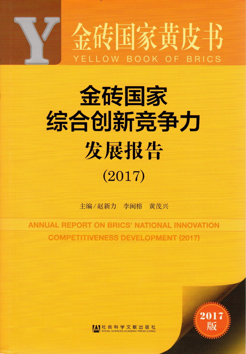 逼逼可操逼金砖国家综合创新竞争力发展报告（2017）